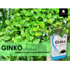 GINKO DIETARY SUPPLEMENT ( GINKGO BILOBA LEAVES DRY EXT. 40 MG/ ML ) ORAL DROPS 30 ML